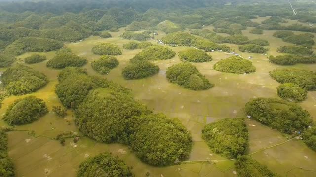 Landscape with green hills Bohol, Philippines