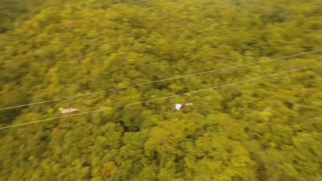Attraction zipline in the jungle Bohol, Philippines.