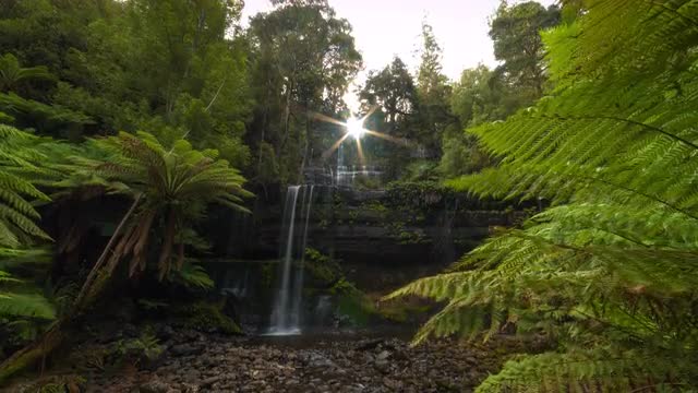 The Russell Falls, Mount Field National Park |  8k Timelapse