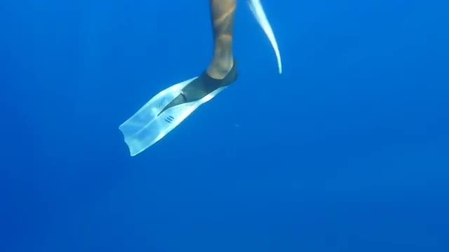 Diver Moves Flippers Underwater, Slow Motion, Close Up