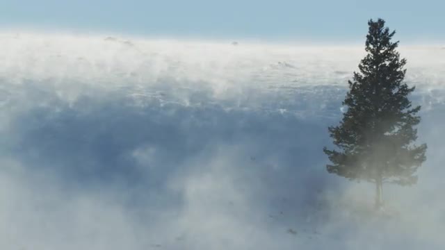 Snow blowing off a hill