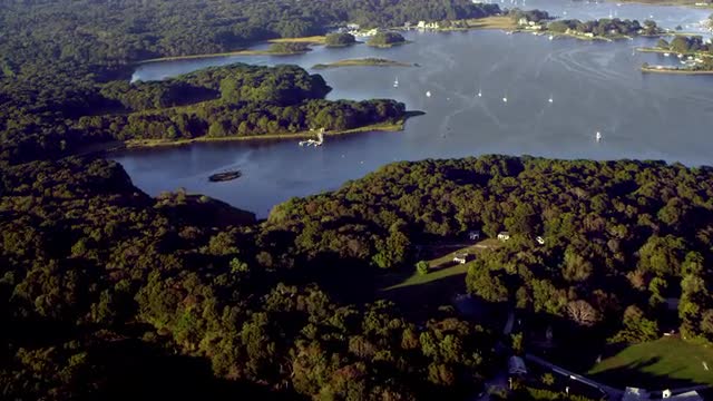 WIDE AERIAL POV over houses on tree-covered waterfront