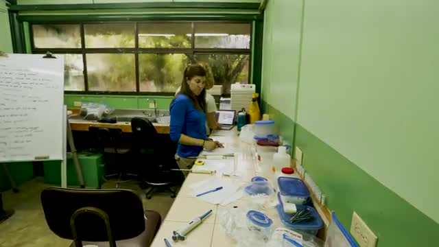 Lab_Timelapse_2.mov