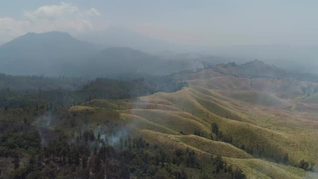 forest fire in the mountains