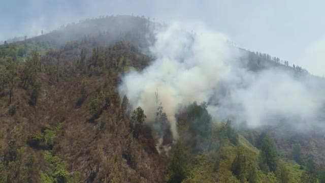 forest fire in the mountains
