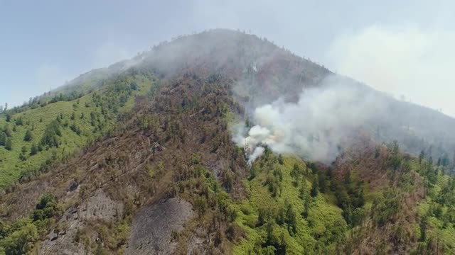 forest fire in the mountains
