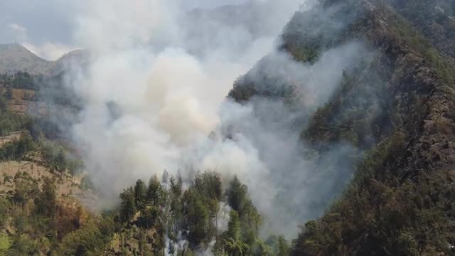 forest fire in the mountains