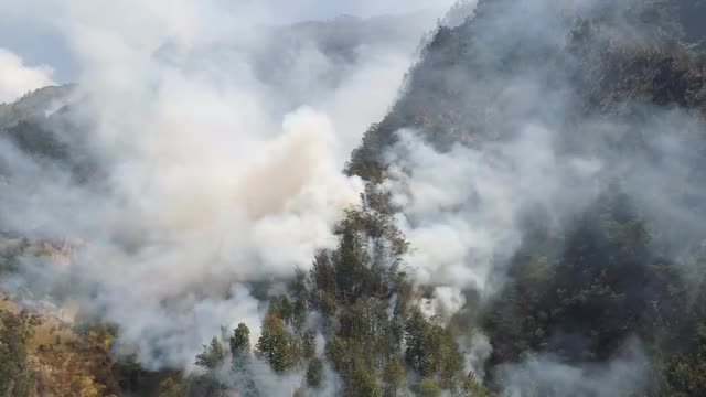 forest fire in the mountains