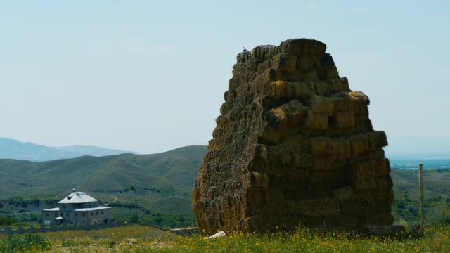 Magpie on the top of big hay stack on flower medow in Armenian mountains