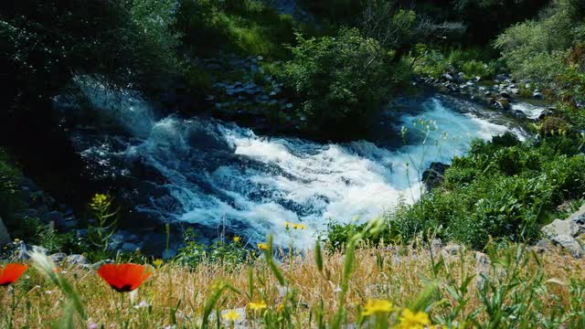 Whitewater stream of river flowing between trees in Armenian mountains. top view