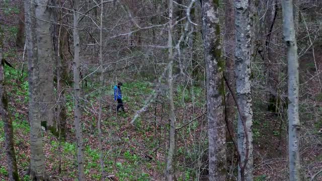Woman walking alone in the woods, profile slow motion pan
