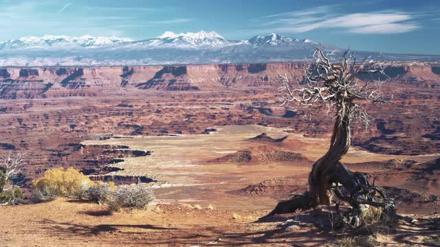 Canyon Lands National Park Wide Desert Scenic