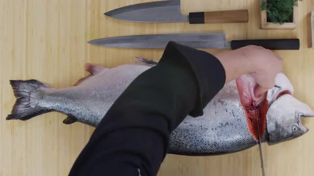 171127SushiRED04.mov