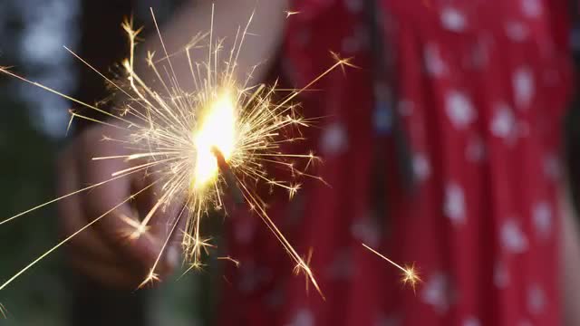 180131FourthJuly01.mov