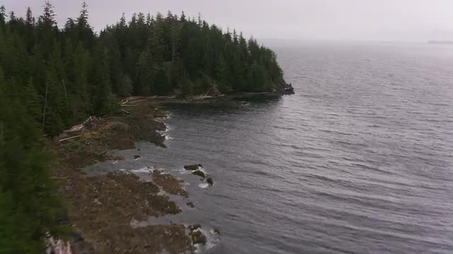 180505_BC113.mov