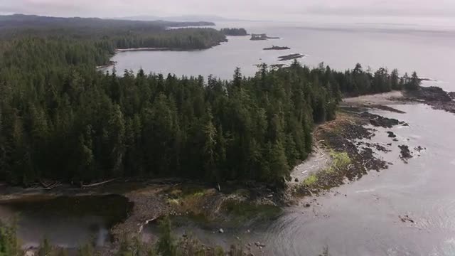 180505_BC114.mov
