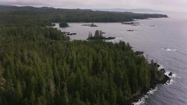 180505_BC115.mov