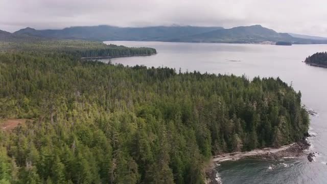 180505_BC119.mov