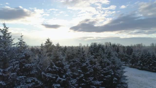 180511Winter06.mov
