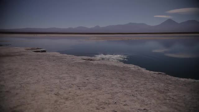 Salar de Tara Salar de Tara