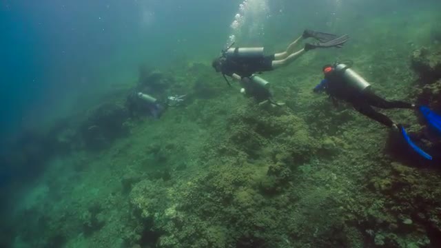 Scuba Divers underwater.