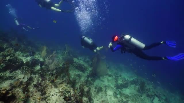Scuba Divers underwater.