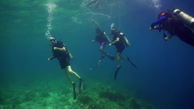 Scuba Divers underwater.