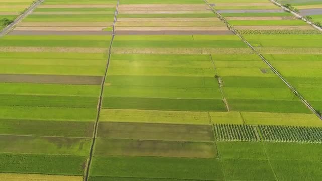 Rice field and agricultural land in indonesia