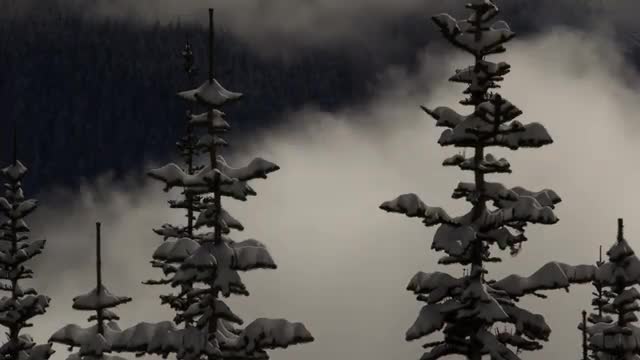 Whistler Soo Valley Timelapse