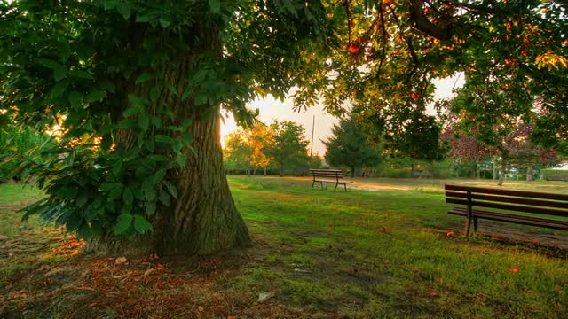 4K motion time lapse of moving sunset lights in parc