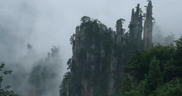 Fog at Tenshi mountain nature reserve, China