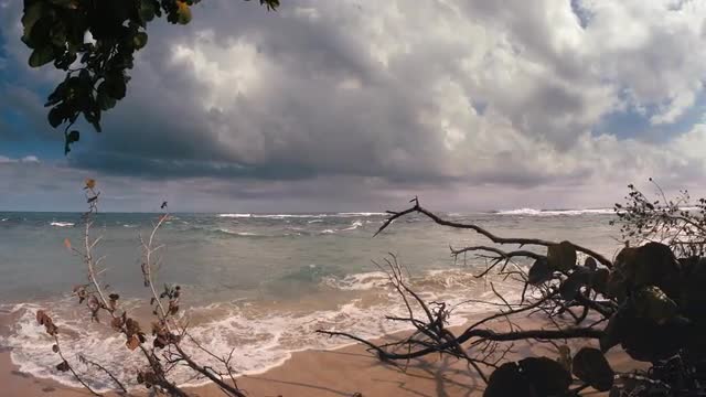 Beautiful Beach, Costa Rica, Playa Punta Uva