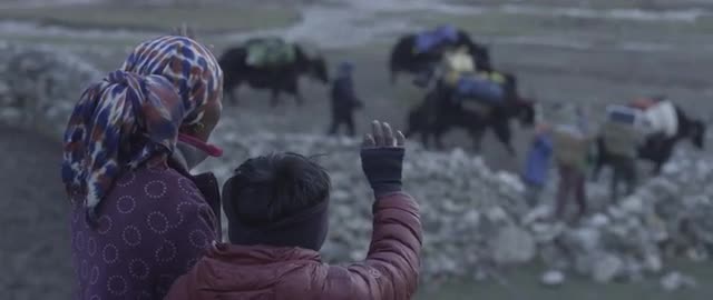 A Yak Train of Supplies Passes By