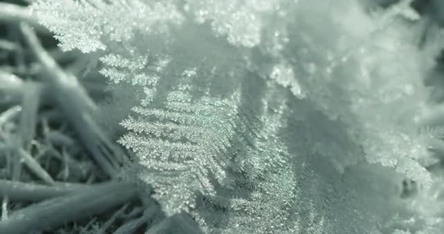Macro Shot of a Snowflake