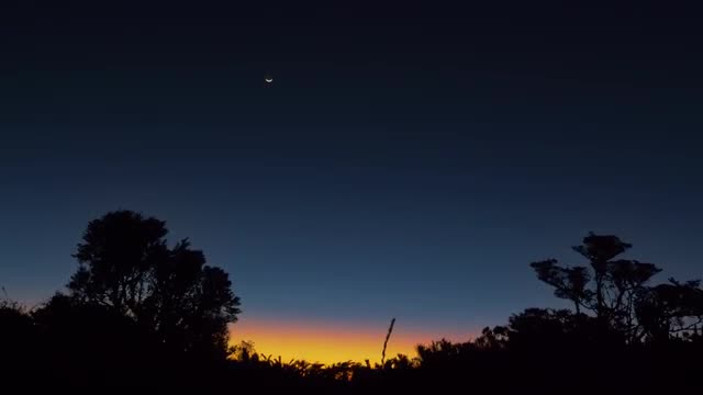 Sunset In Trapanti National Park, Costa Rica, Graded Version