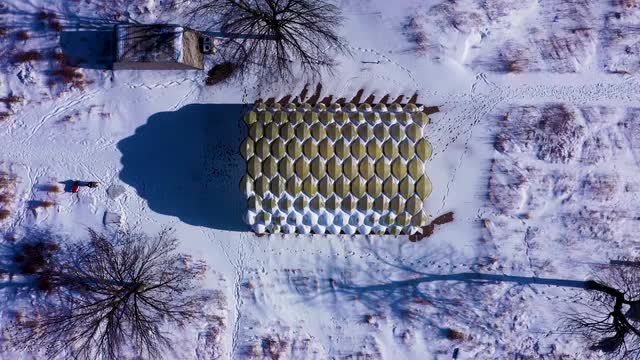 Chicago - Honeycomb in winter