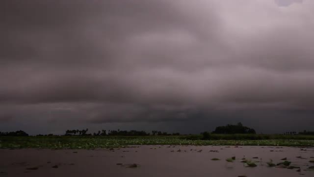 Storm center building over rice paddy