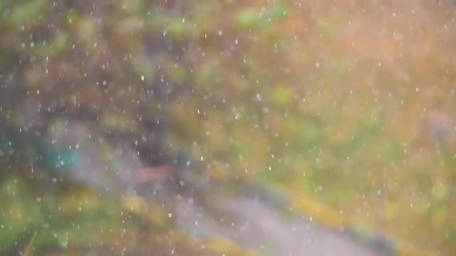 Snow falling against defocused autumn background