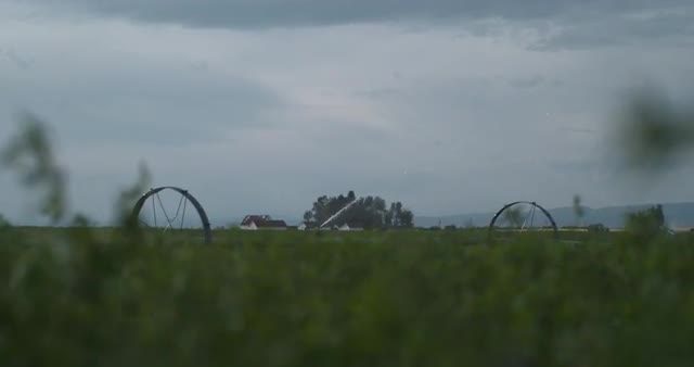 Push Shot Through Farm Fields with Irrigation 1000 FPS 4K