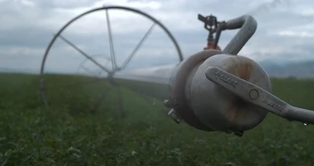 Dolly Shot Through Agriculture Fields 1000 FPS 4K