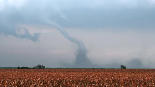Tornado