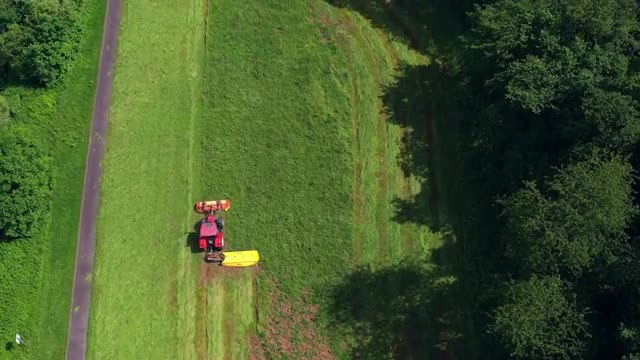Tractor cutting green crops.