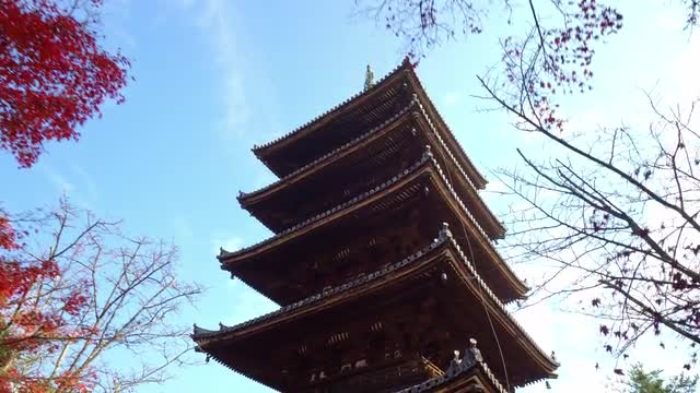Ninna-Ji Temple, Kyoto, Japan