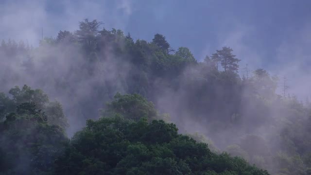 Kyoto Prefecture, Japan