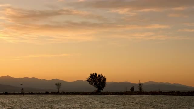 View of tree and mountains on the horizon during sunset at lake