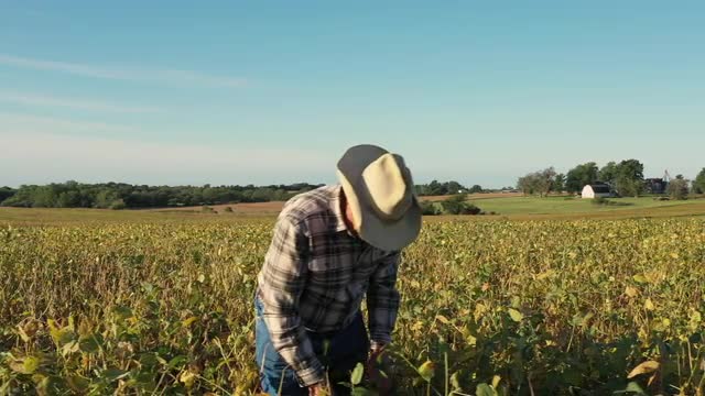 Farmer in field