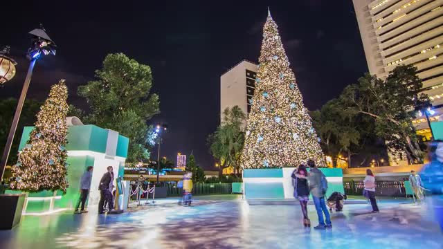 Christmas Tree