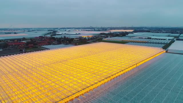 Greenhouse