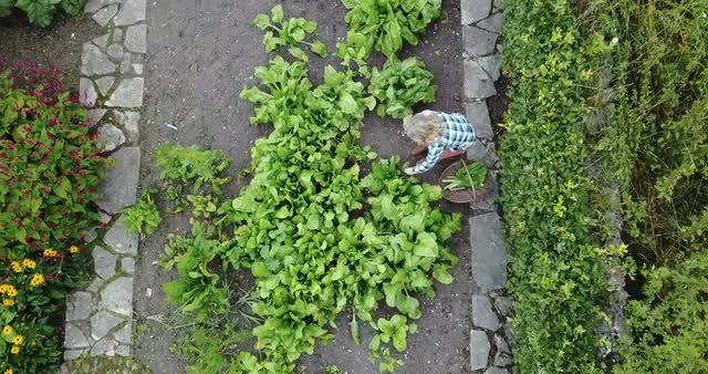 Woman in garden