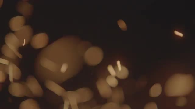 Close Up Campfire Embers
